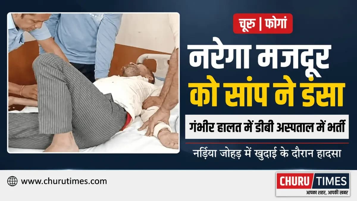 Churu News Today: फोगां में नरेगा मजदूर को सांप ने डंसा, हालत गंभीर, डीबी अस्पताल में भर्ती