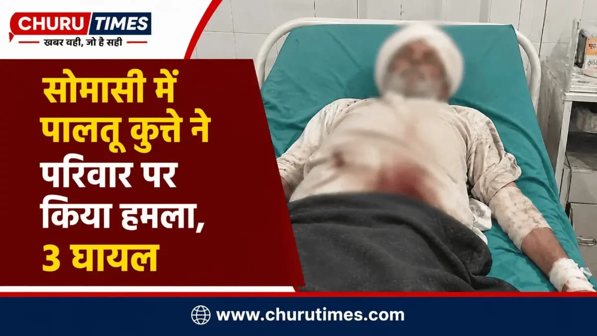 Churu News: सोमासी में पालतू जर्मन शेफर्ड कुत्ते का हमला, एक ही परिवार के 3 लोग घायल