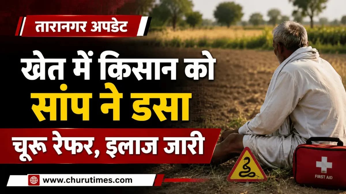 तारानगर न्यूज़: साहवा में खेत में काम करते समय बुजुर्ग किसान को सांप ने डसा