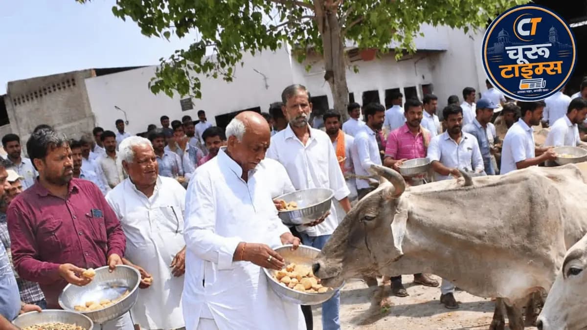 चूरू में सचिन पायलट का 49वां जन्मदिन मनाया, गोशाला में गायों को खिलाया गुड़